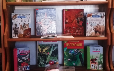 «Экоцарство – природное государство»