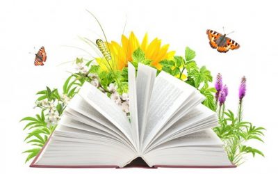 «Раз, два, три, четыре, пять – летом некогда скучать!»