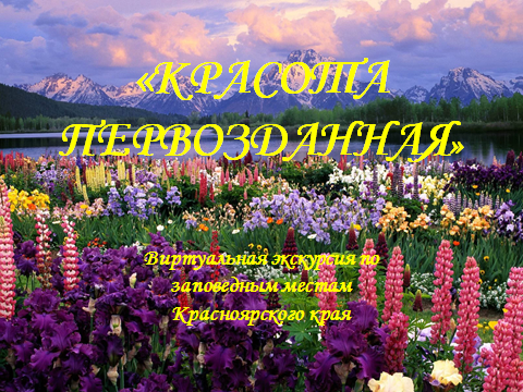 Виртуальная экскурсия по заповедным местам Красноярского края