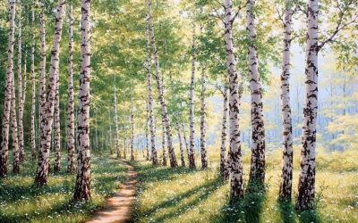 По лесной тропе родного края