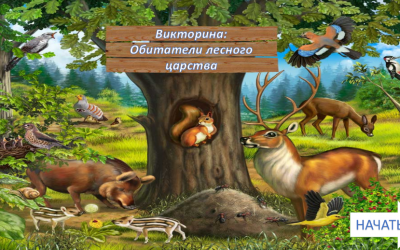 Экологическая викторина «Обитатели лесного царства»