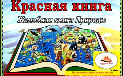 Познавательный видеоролик «Красная книга — жалобная книга природы» для читателей от 6 лет
