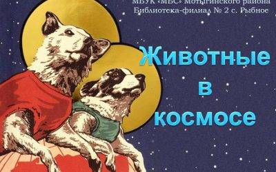 КОСМИЧЕСКИЙ ЗООПАРК