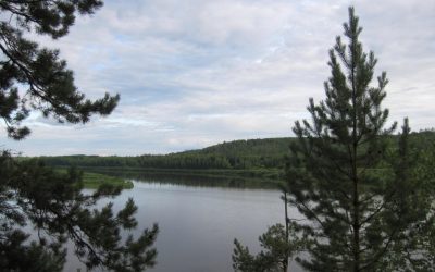 книжная выставка-кроссворд «Путешествия во времени»