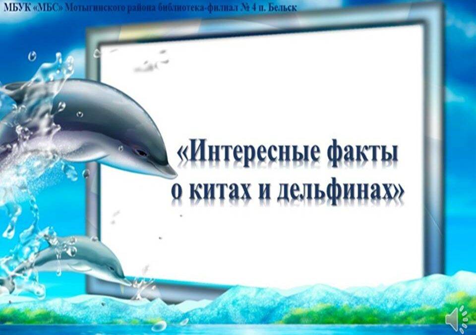 «Интересные факты о китах и дельфинах»