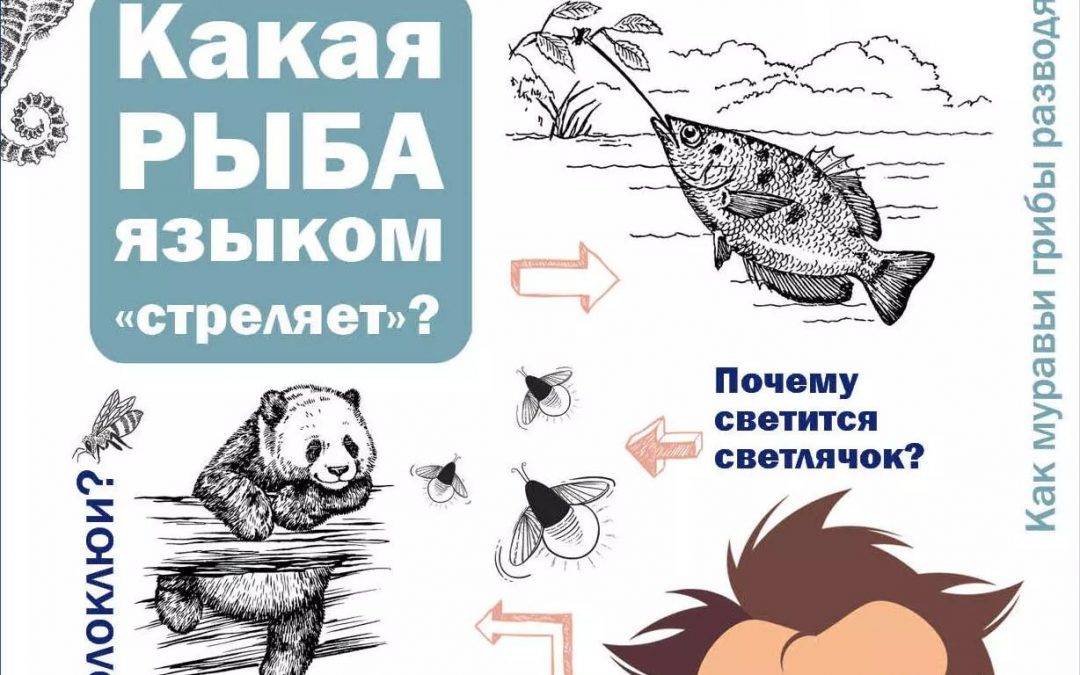 И у крокодила есть друзья