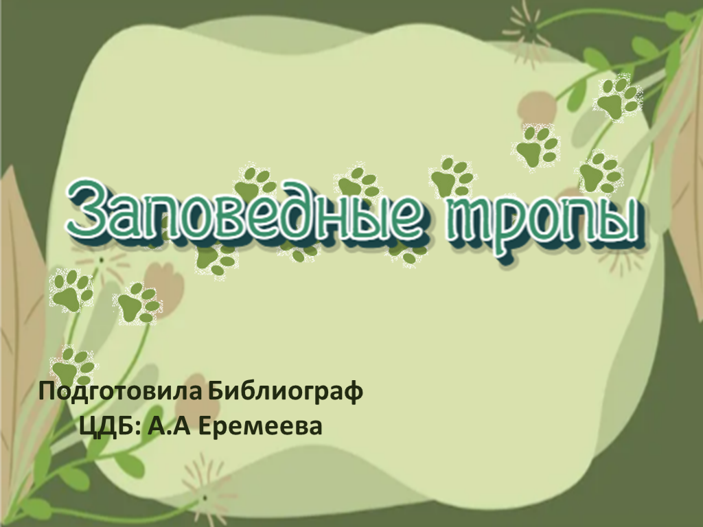 Главное изображение