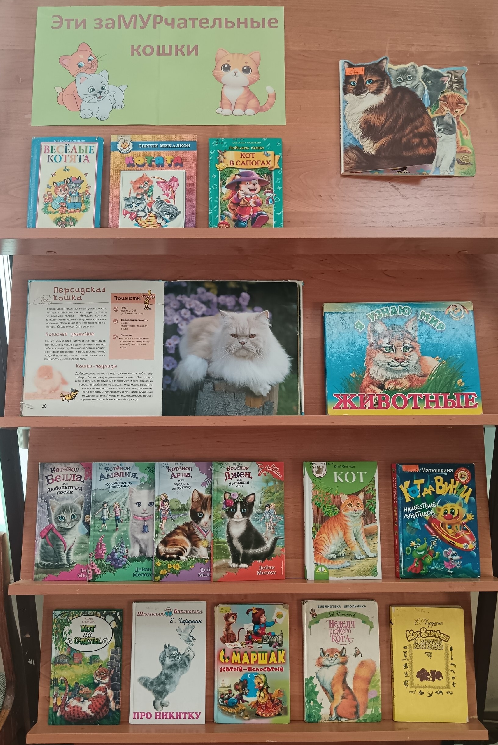 Первомайск. Книжная выставка Эти заМУРчательные кошки